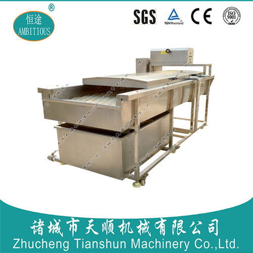 淄博蛤蜊筛洗清洗机 诸城市天顺机械专业制造与高清展示